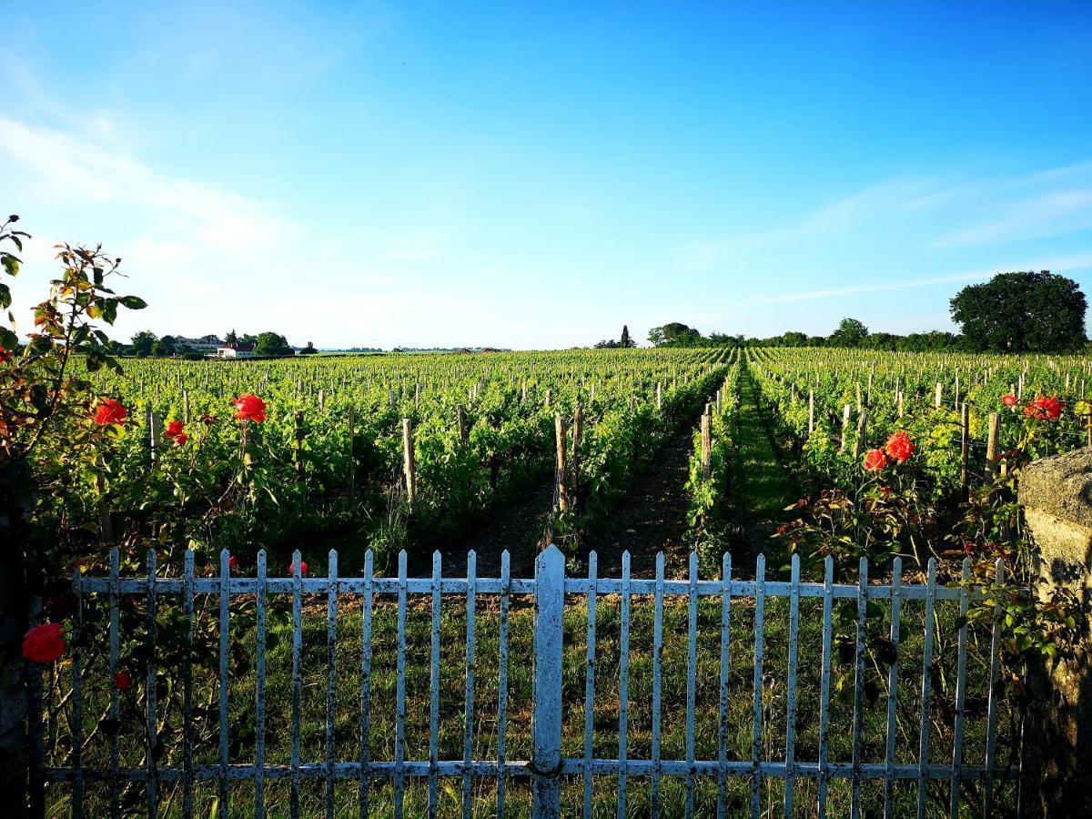 La Maison Des Vignes Saint Emilion Apartment Exterior foto